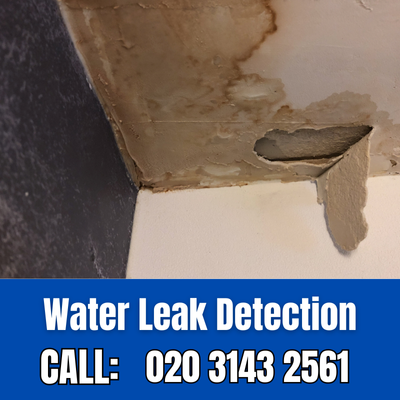 Expert Water Leak Detection Services in Mortlake | Mortlake Leak Detection